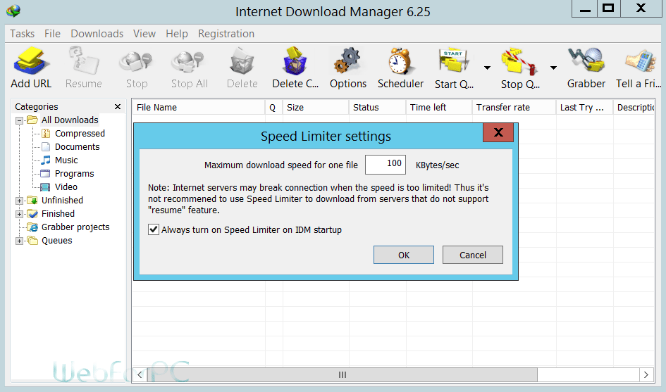 Internet Download Manager 6.25