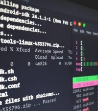 10 Basic Linux Commands for a Newbie User
